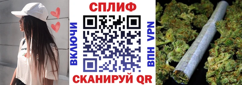 Виды наркотиков купить Суджа omg зеркало Альфа ПВП Гашиш Меф мяу мяу Cocaine
