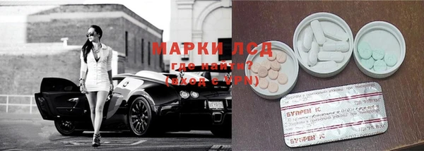 альфа пвп Медвежьегорск