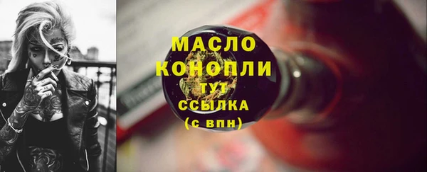 тгк Михайлов