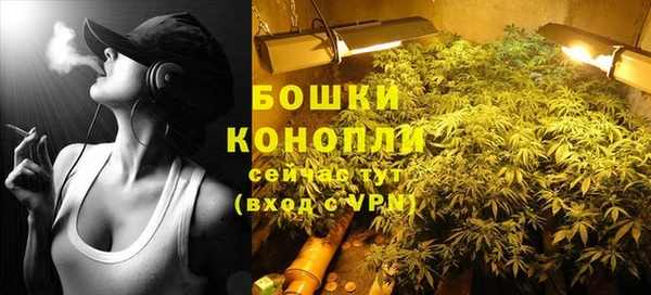 хмурый Михайловск