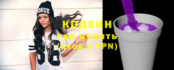 хмурый Михайловск