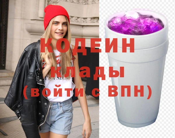 хмурый Михайловск