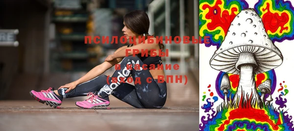хмурый Михайловск