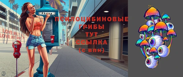 стафф Покачи