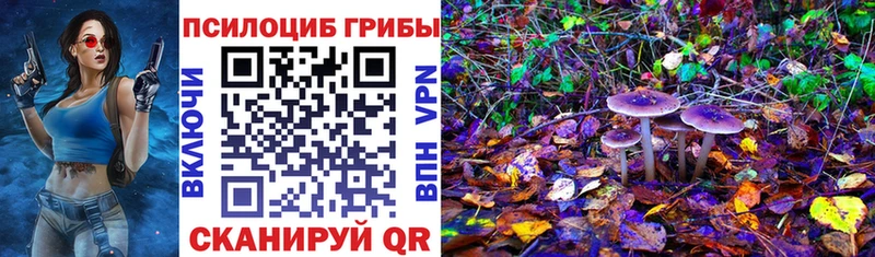 Галлюциногенные грибы мухоморы  что такое наркотик  Суджа 