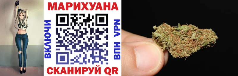 купить наркоту  Суджа  Бошки Шишки ГИДРОПОН 